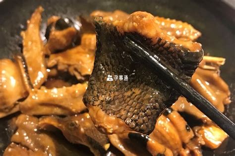 夢見吃蛇肉|梦见吃蛇肉是什么意思